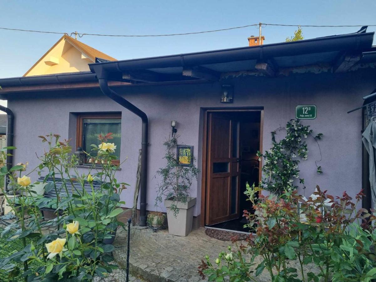 Art Room With Outdoor Living Ljubljana Exterior photo