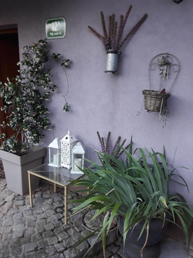 Art Room With Outdoor Living Ljubljana Exterior photo
