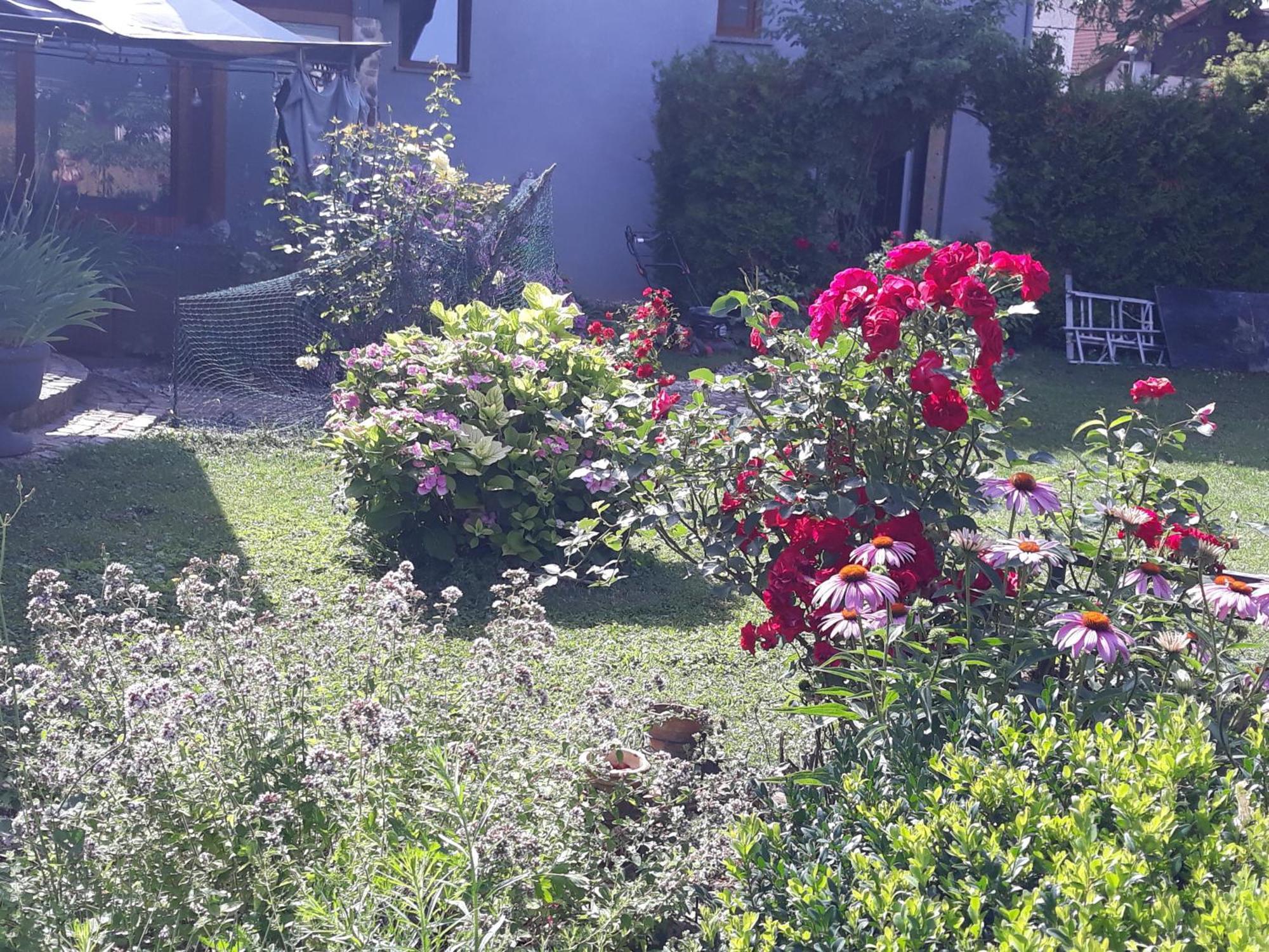 Art Room With Outdoor Living Ljubljana Exterior photo